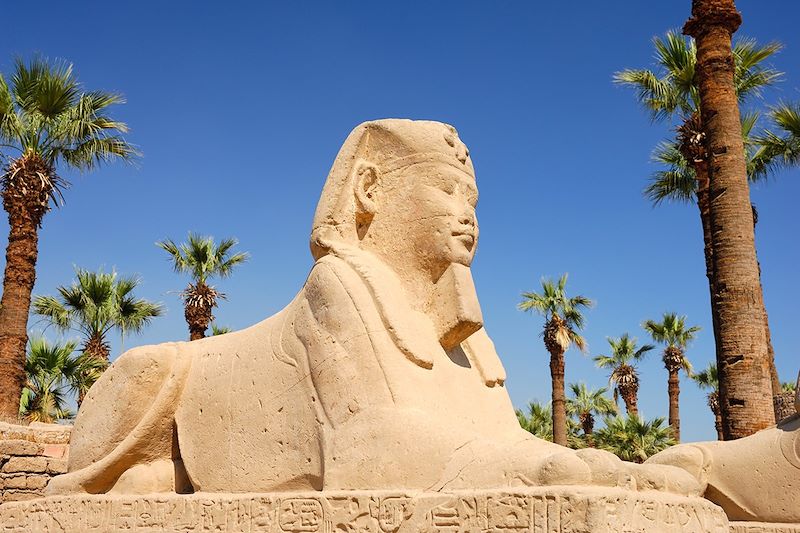 L'allée des Sphinx à Louxor - Égypte