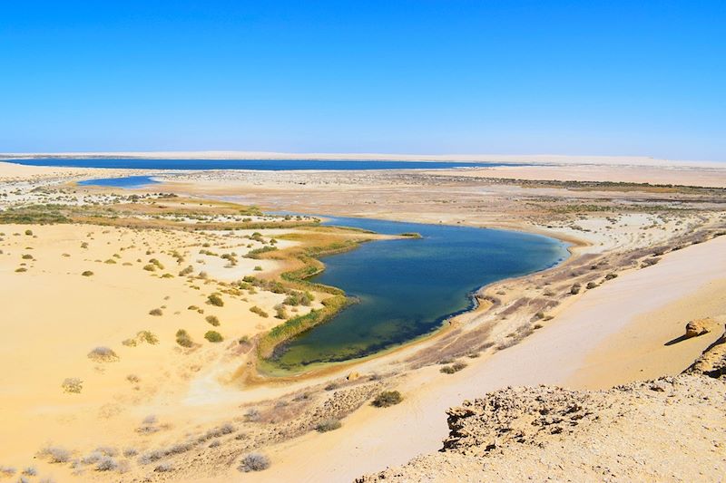 Oasis du Fayoum - Égypte