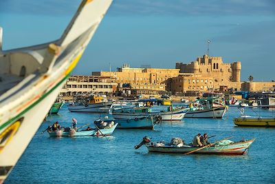 L'Égypte en train du Nord au Sud  4