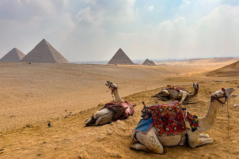 Pyramides de Gizeh - Égypte
