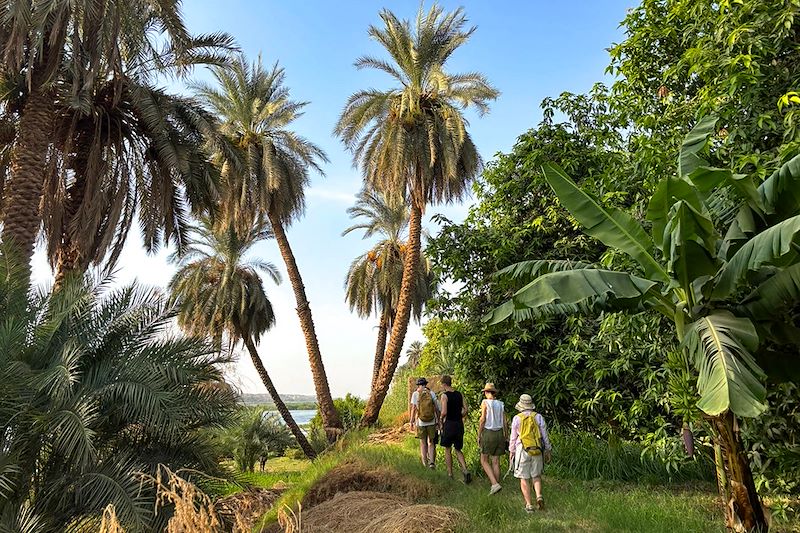 Randonneurs sur les rives du Nil - Égypte