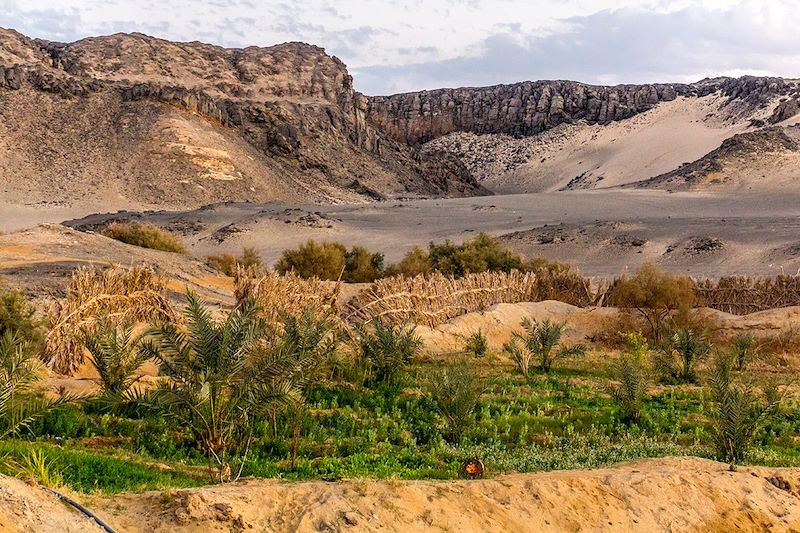 Oasis d'Al-Bahariya - Égypte