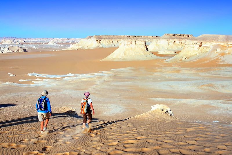 Voyagez en Égypte entre pyramides, oasis et désert blanc. Un circuit unique du Caire à Louxor mêlant culture, aventure et nature