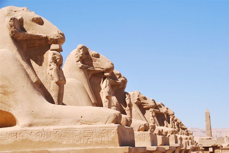 Temple de Louxor - Egypte