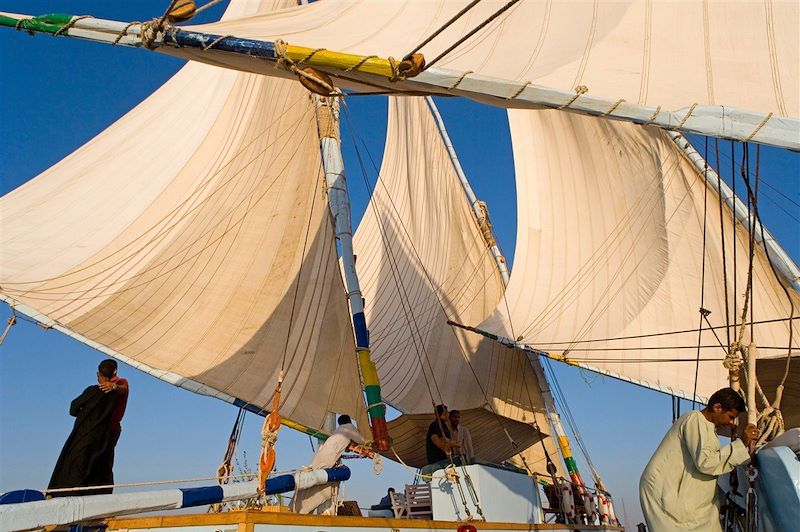 Découverte du Caire et croisière sur le Nil