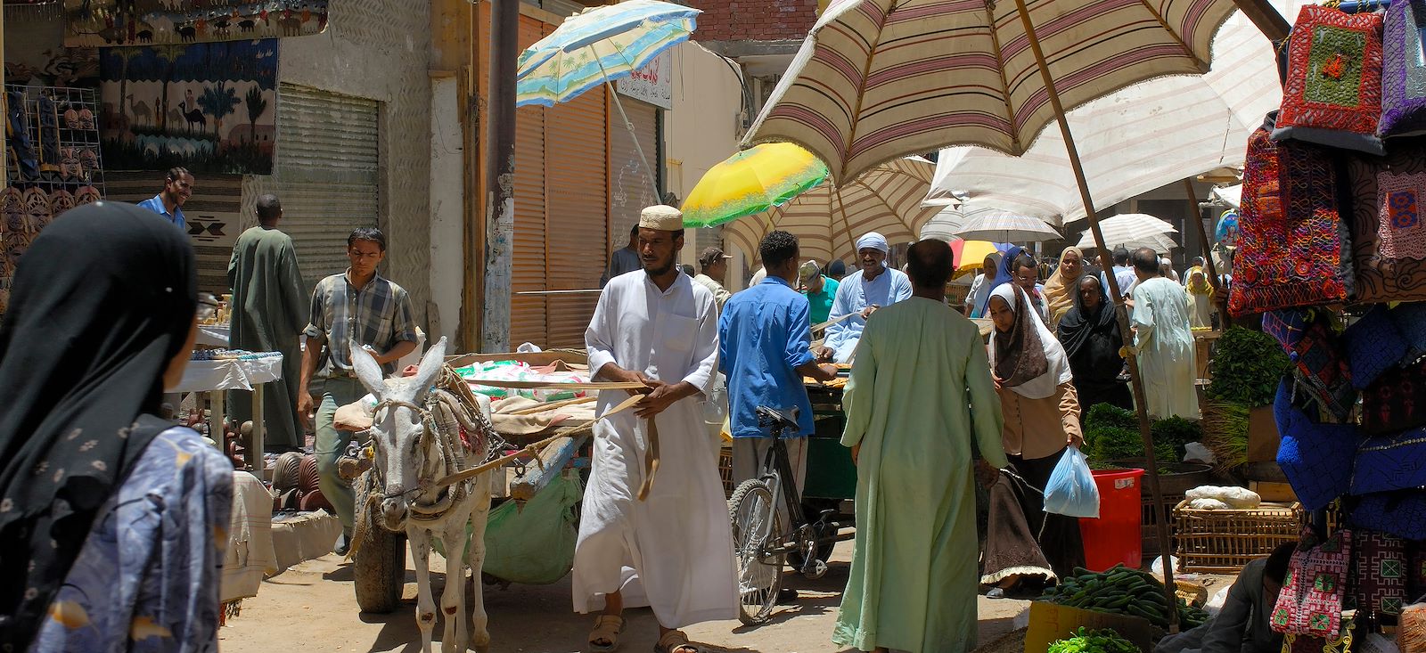 Image Un sandal pour le Nil et pyramides de Gizeh