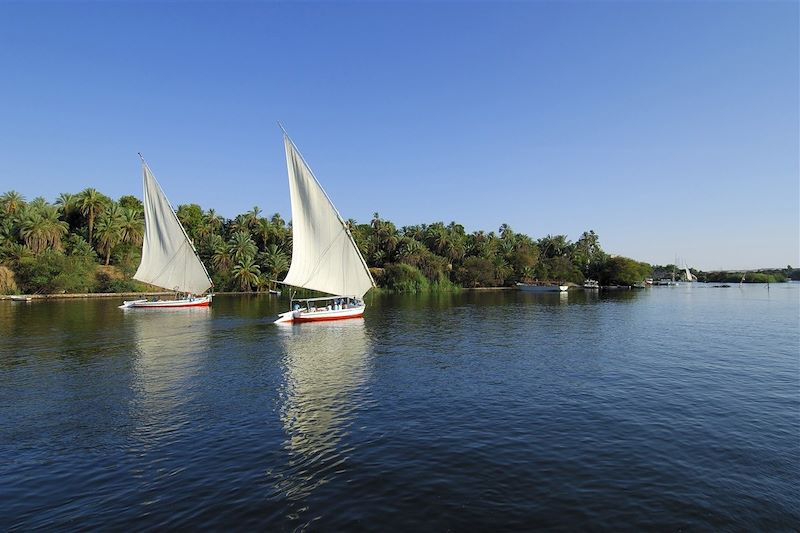 Felouques à Assouan - Vallée du Nil - Egypte