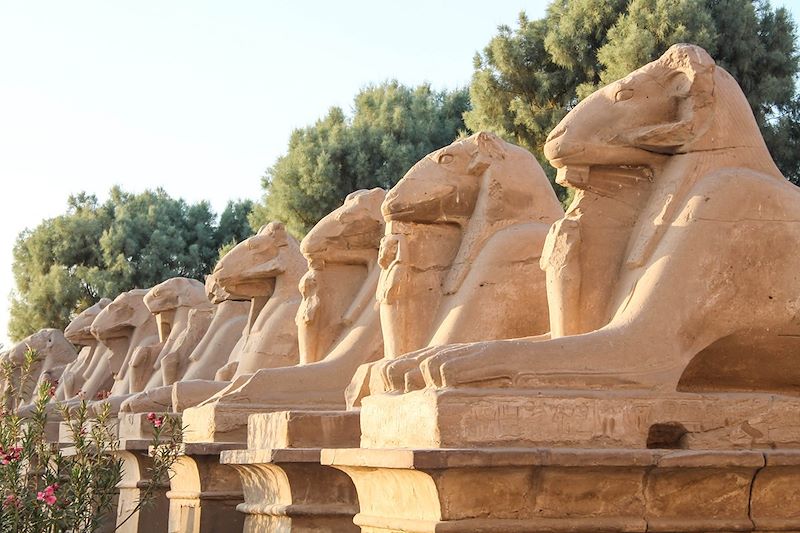 Temple de Karnak à Louxor - Egypte