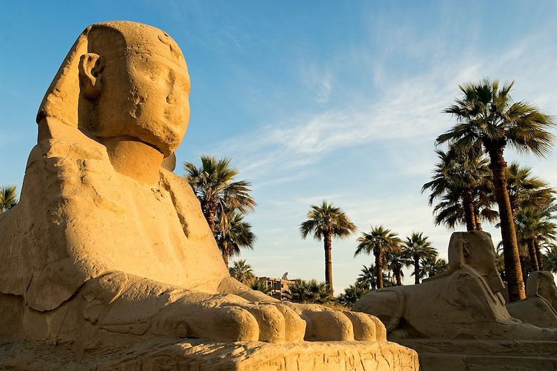 Temple de Louxor - Vallée du Nil - Égypte