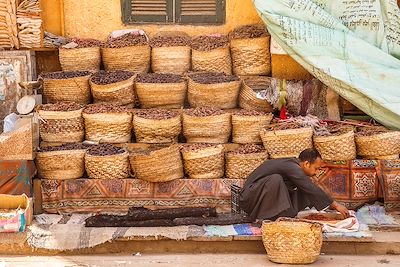 Le Nil en dahabieh : sur les pas des pharaons 4