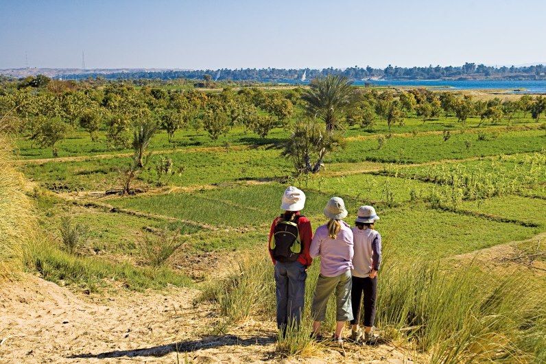 Vallée du Nil - Egypte