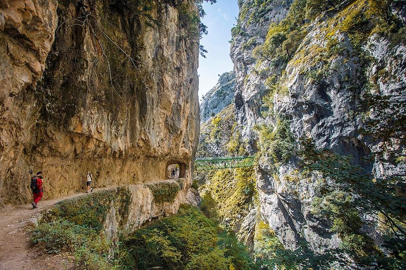 Pont suspendu dans le sentier du Cares - Pics d'Europe - Espagne