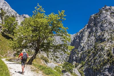 Panoramas des Pics d'Europe (A/R en train) 4