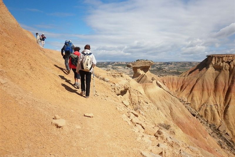 Le désert des Bardenas Reales (A/R en train)