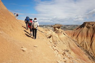 Le désert des Bardenas Reales (A/R en train) 4