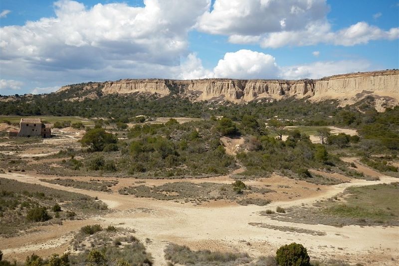 Le désert des Bardenas Reales (A/R en train)