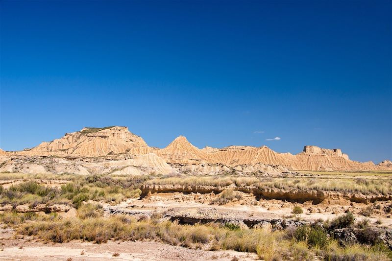 Le désert des Bardenas Reales (A/R en train)