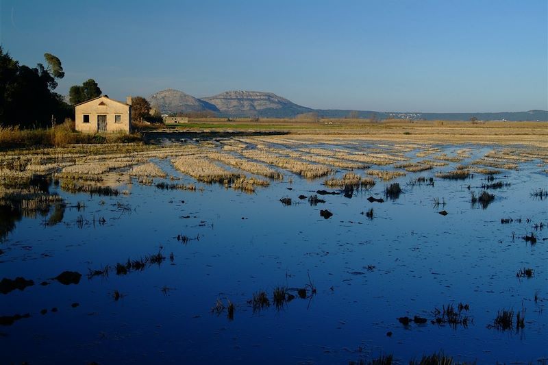 Rizières - Parc naturel de Montgris - Costa Brava - Espagne