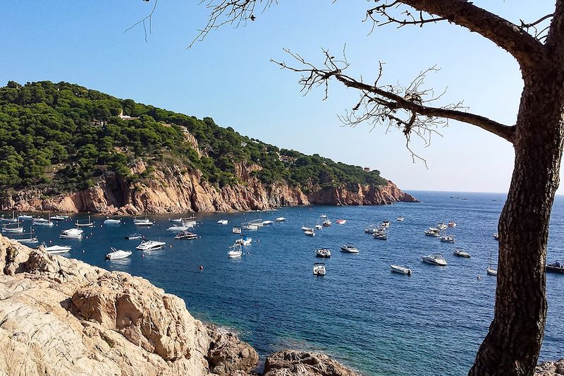 Criques et chemins côtiers de Costa Brava 