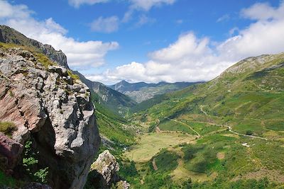 Observation des ours bruns dans les Asturies 2