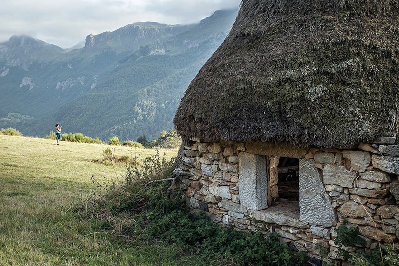 Observation des ours bruns dans les Asturies