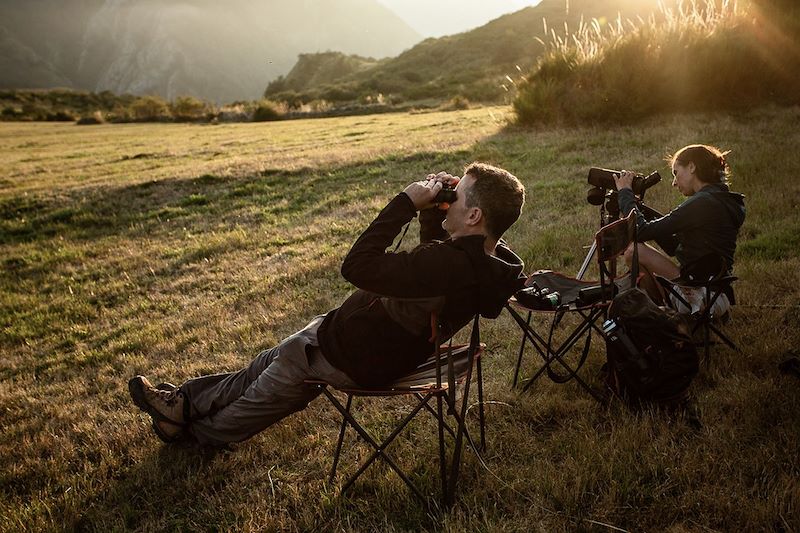 Observation des ours bruns dans le Parc naturel de Somiedo - Asturies - Espagne