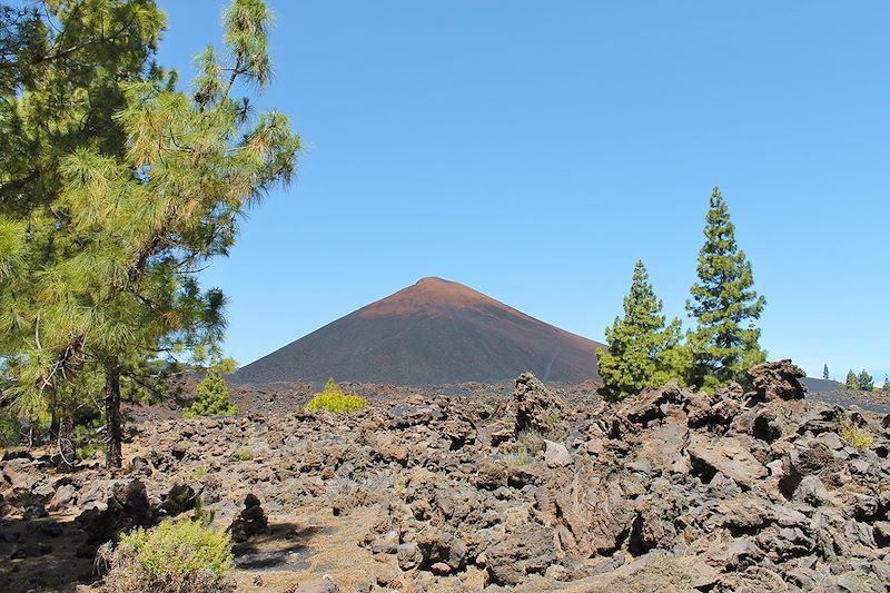 Volcan Chinyero - Tenerife - Iles Canaries - Espagne