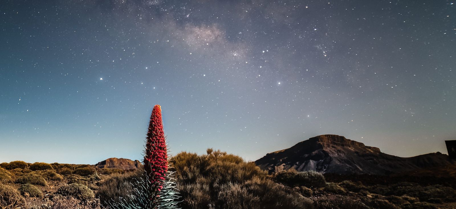 Image Un peu plus près des étoiles, à Tenerife