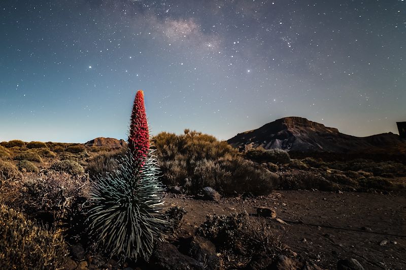 Nuit au Mont Teide - Ténérife - Canaries - Espagne