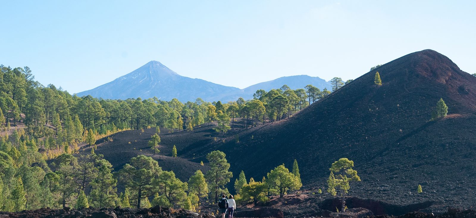 Image Un peu plus près des étoiles, à Tenerife