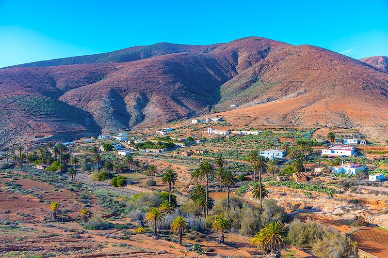 Vega de Río Palmas - Fuerteventura - Îles Canaries - Espagne