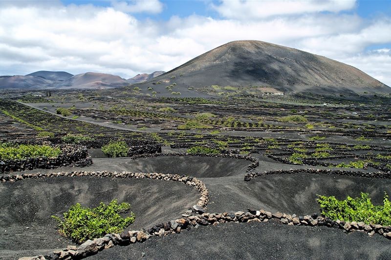 La Geria - Ile de Lanzarote  - Canaries - Espagne