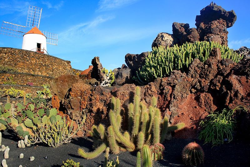 Jardin de Cactus - île de Lanzarote - Espagne