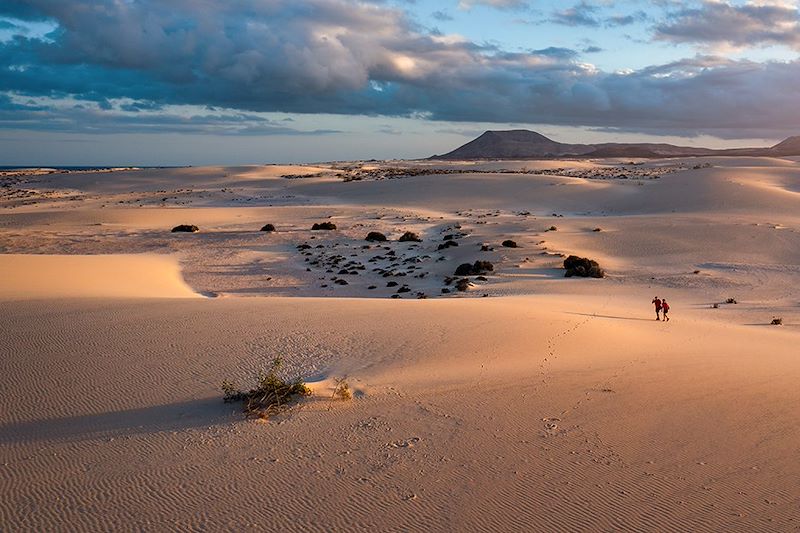 Parc naturel Dunas de Corralejo - Lanzarote - Canaries - Espagne