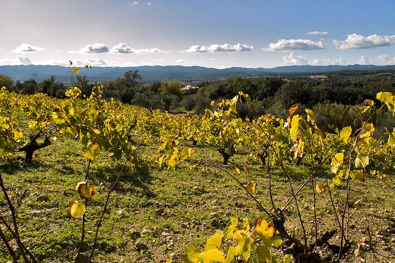Vignobles de l'Empordà - Espagne
