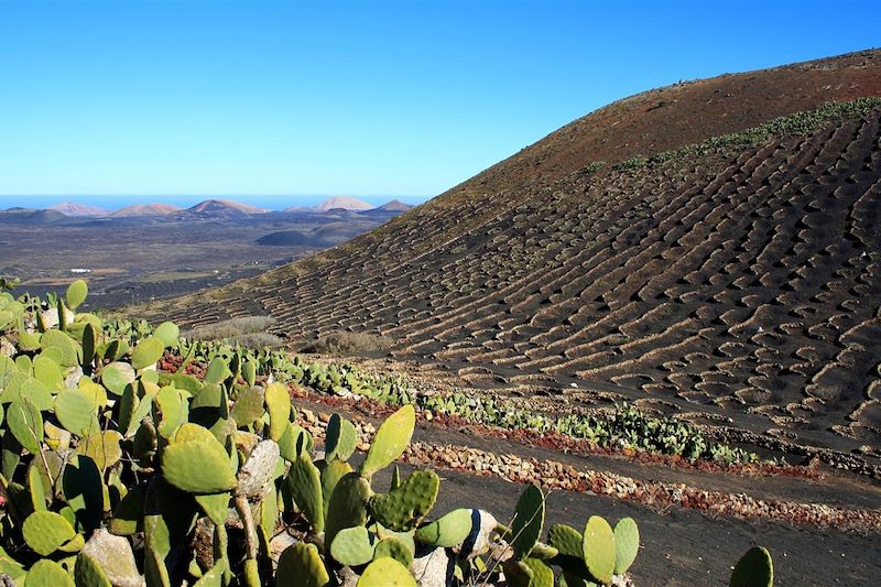 Lanzarote entre copines