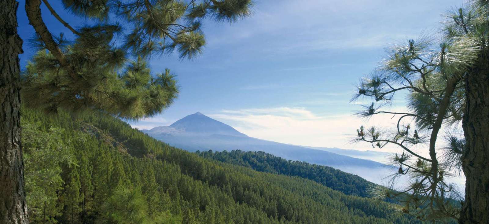 Voyage à pied Espagne : Ténérife et la Gomera ... Voyage à pied : Ténérife et la Gomera ...