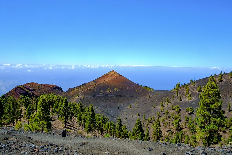 Chemin vers le volcan Teneguía - La Palma - Canaries - Espagne