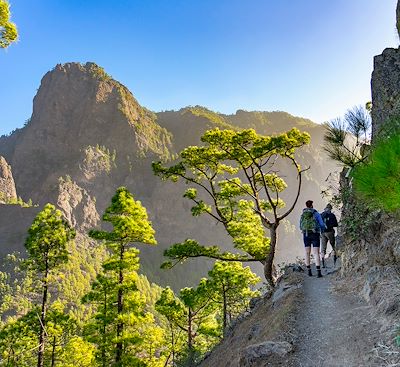 Circuits en petit groupe Canaries