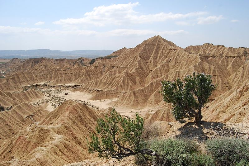 Randonnée accompagnée en Espagne pour le Réveillon, au sud des Pyrénées en hébergement troglodytes 