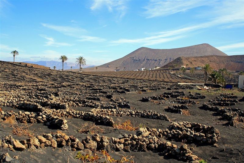 Volcans et sentiers de Lanzarote 