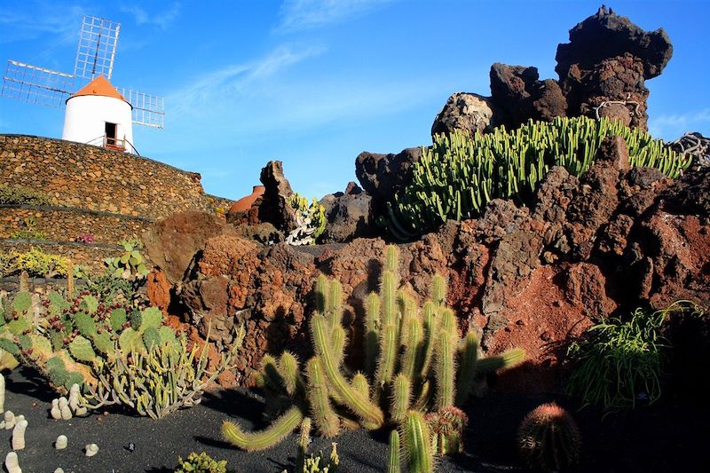 Volcans et sentiers de Lanzarote 