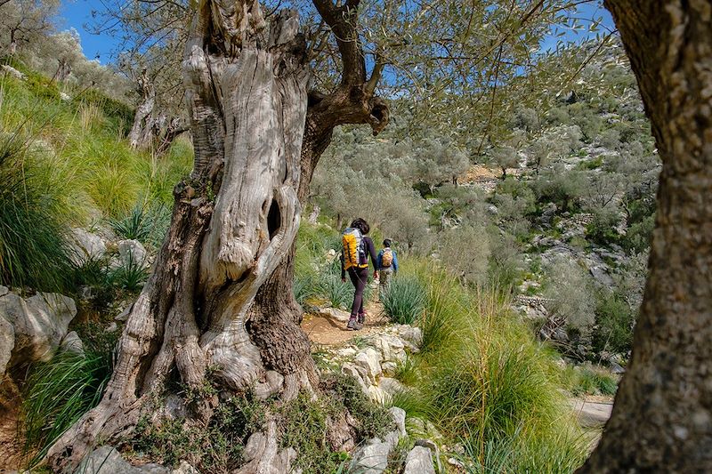 Randonnée dans le parc naturel Serra de Tramuntana - Majorque - Baléares - Espagne