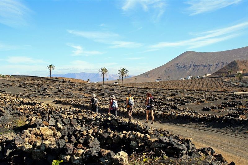 La Geria - Lanzarote - Espagne