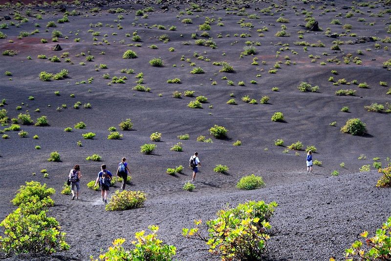 Parc naturel des volcans - Lanzarote - Espagne