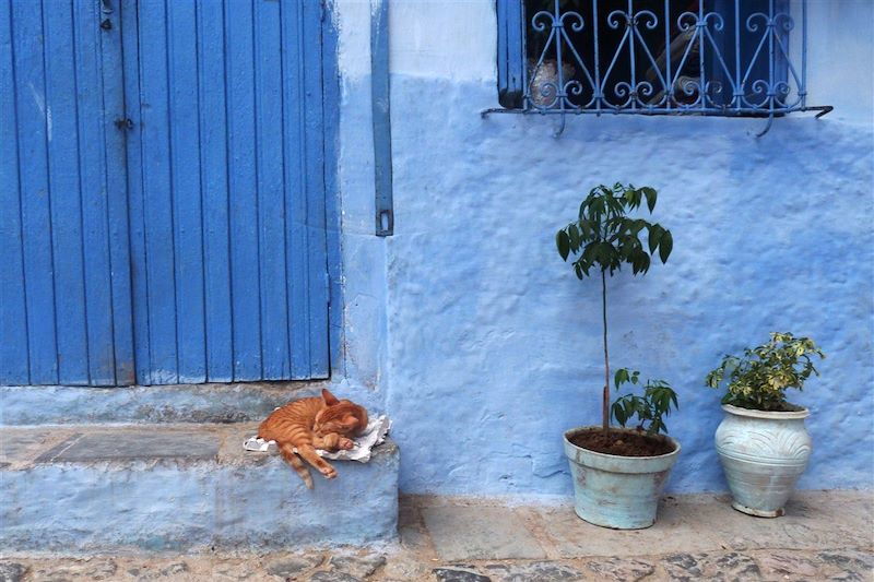 Chefchaouen - Région de Tanger-Tétouan - Maroc