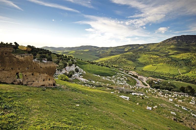 Les tombeaux Mérinides - Fès - Moyen Atlas - Maroc