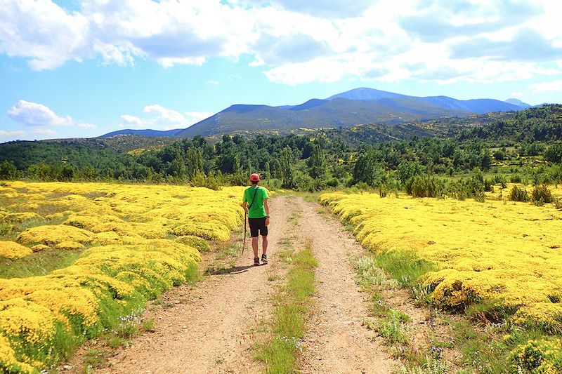 Les petits aventuriers de Sierra de Guara 