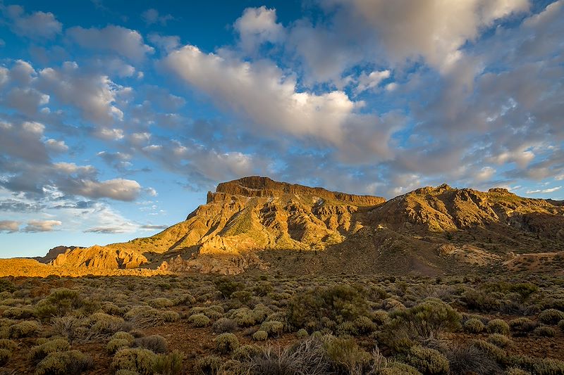 Mont Guajara - Île de Tenerife - Espagne