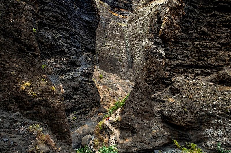 Randonnée dans le canyon de Masca - Tenerife - Canaries - Espagne